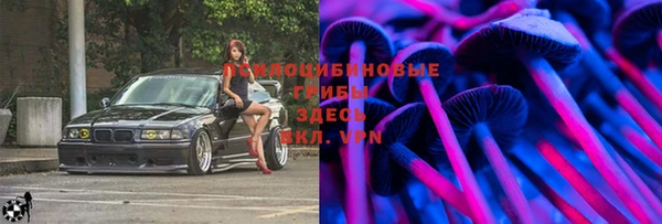 таблы Вязьма