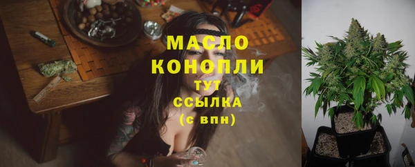 сатива Вяземский