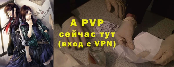 сатива Вяземский