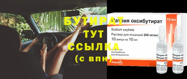 сатива Вяземский