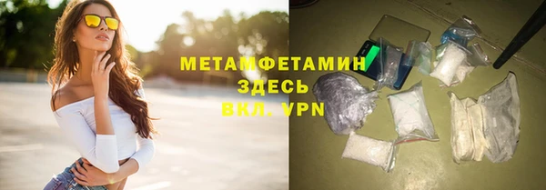 сатива Вяземский