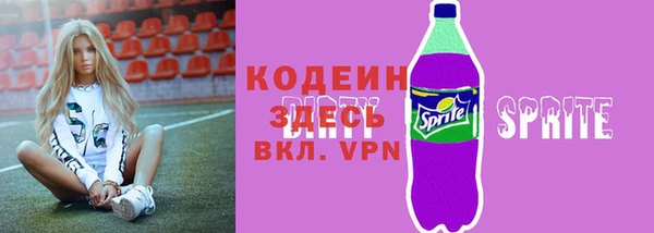 сатива Вяземский
