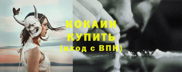 сатива Вязники