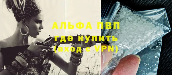 сатива Вяземский