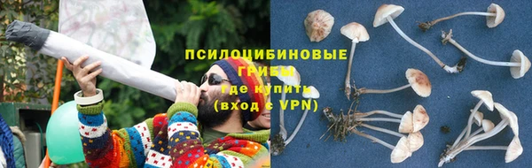 сатива Вяземский