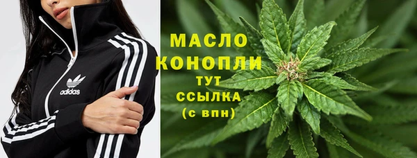сатива Вяземский