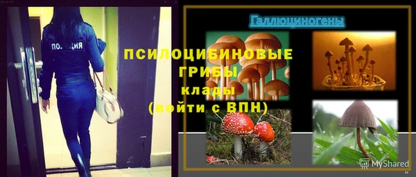 сатива Вязники