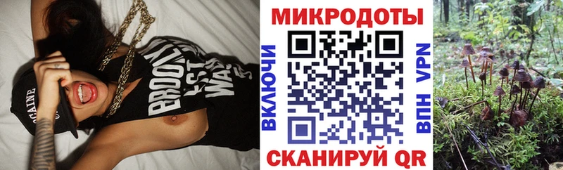 Галлюциногенные грибы мицелий  Купить где  Куйбышев 